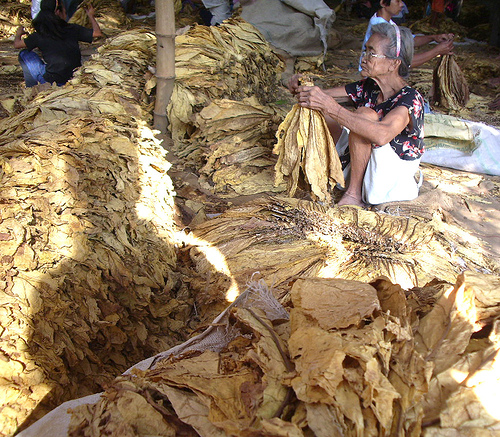 Правителството прие промени в план-сметката на ДФ "Земеделие